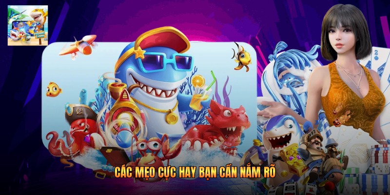 Các mẹo cực hay bạn cần nắm rõ