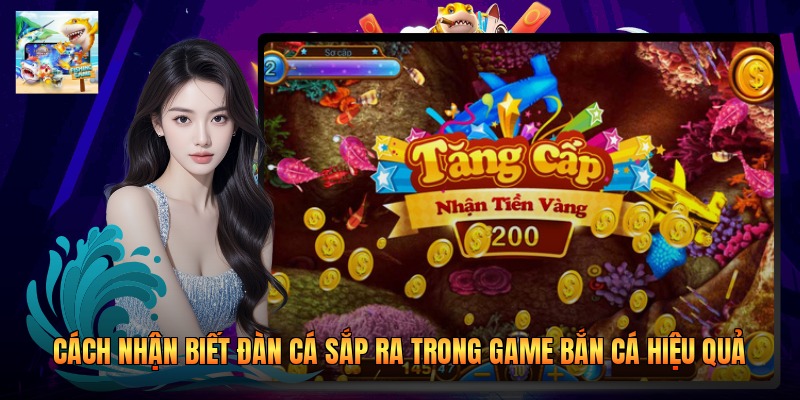 Cách Nhận Biết Đàn Cá Sắp Ra Trong Game Bắn Cá Hiệu Quả