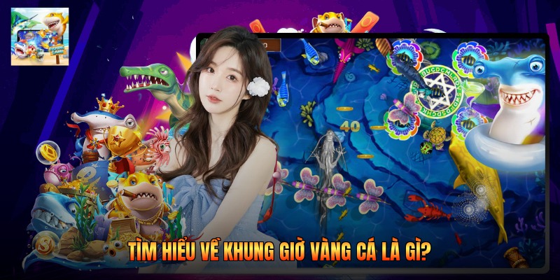Tìm hiểu về khung giờ vàng cá là gì?